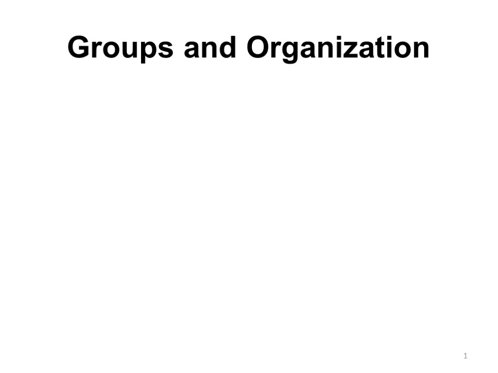 Groups and Organization 1